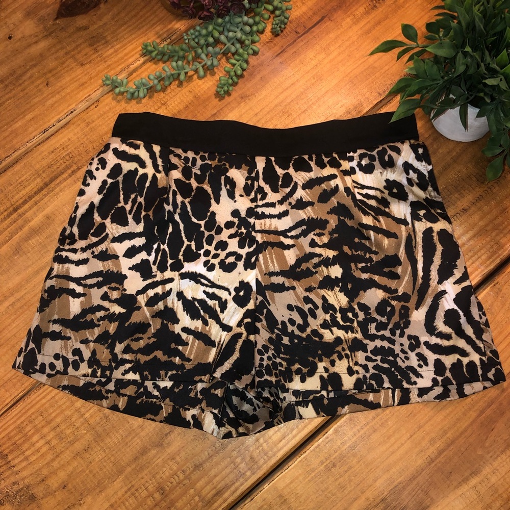 Gianni Bini Shorts
